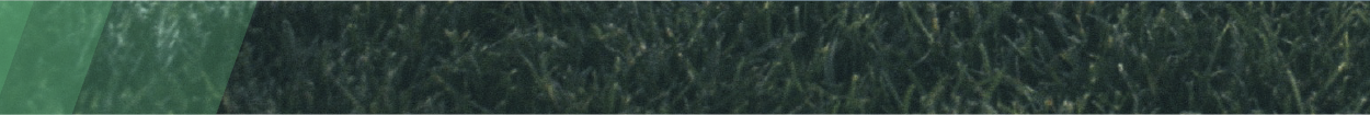 alt_text